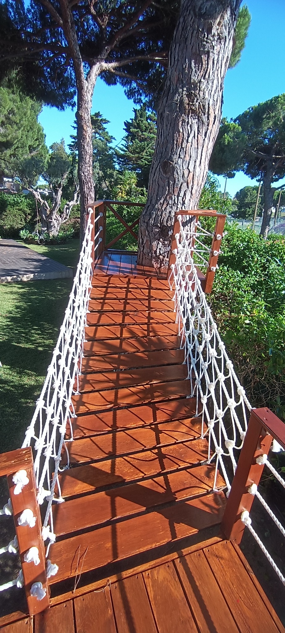 Ponte madeira
